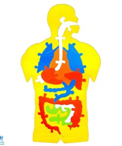 پازل فومی آموزشی شناخت آناتومی اعضای بدن انسان سایان