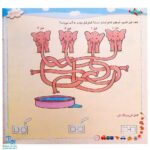 کتاب مثل بلبل بخوان (تقویت مهارت خواندن در دانش آموزان پایه‌ی اول دبستان براساس کتاب فارسی اول دبستان)