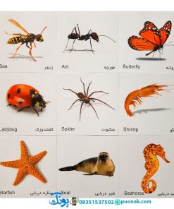 کارت‌ آموزش حشرات و آبزیان مدل کارت پازل انتشارات آوای بامداد (۲۰ کارت پازل آموزشی دو زبانه)