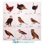 کارت‌ آموزش پرندگان مدل کارت پازل انتشارات آوای بامداد (۲۰ کارت پازل آموزشی دو زبانه)
