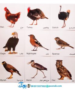 کارت‌ آموزش پرندگان مدل کارت پازل انتشارات آوای بامداد (۲۰ کارت پازل آموزشی دو زبانه)