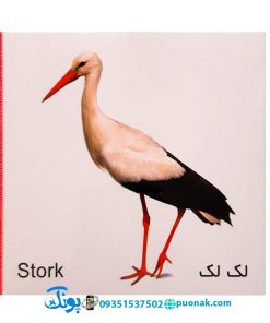 کارت‌ آموزش پرندگان مدل کارت پازل انتشارات آوای بامداد (۲۰ کارت پازل آموزشی دو زبانه)