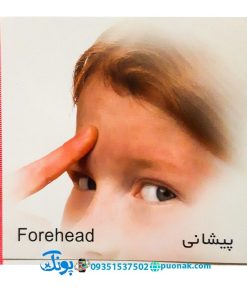 کارت‌ آموزش اعضای بدن مدل کارت پازل انتشارات آوای بامداد (۲۰ کارت پازل آموزشی دو زبانه)