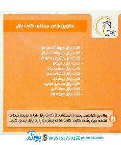 کارت‌ آموزش اعضای بدن مدل کارت پازل انتشارات آوای بامداد (۲۰ کارت پازل آموزشی دو زبانه)