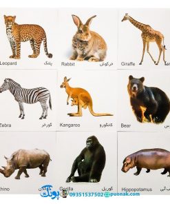 کارت‌ آموزش حیوانات جنگل مدل کارت پازل انتشارات آوای بامداد (۲۰ کارت پازل آموزشی دو زبانه)