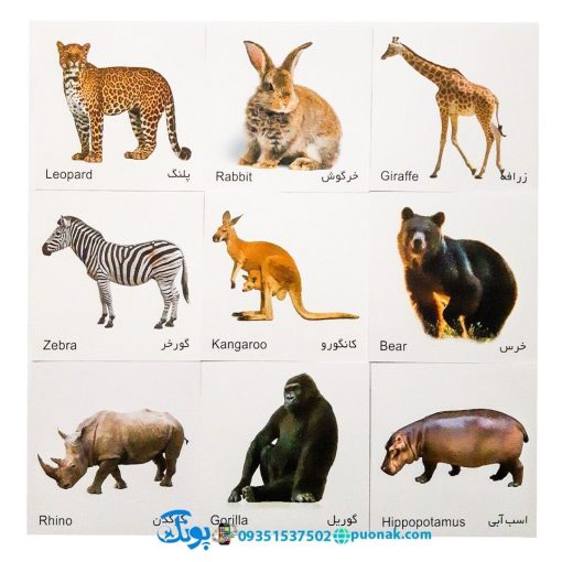 کارت‌ آموزش حیوانات جنگل مدل کارت پازل انتشارات آوای بامداد (۲۰ کارت پازل آموزشی دو زبانه)