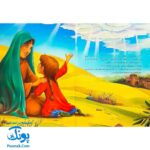 کتاب حتماً برمی‌گردد (انسان شناسی برای کودکان)