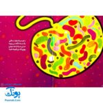 کتاب شعر خانه ی قبلی خانه ی بعدی (انسان شناسی برای کودکان)