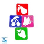 شابلون گل و میوه (۱۲ عدد شابلون)