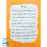کتاب آقا محسن (درباره شهید محسن حججی)