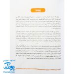 کتاب آقا محسن (درباره شهید محسن حججی)