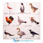 کارت‌ پازل آموزش حیوانات مزرعه انتشارات آوای بامداد (۲۰ کارت پازل آموزشی دو زبانه)