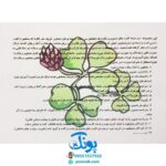 کارت های واژه‌های تصویری امین و آزاده پایه اول دبستان کارت نگاره‌ها ویژه دانش آموز