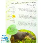 کتاب زنجیره‌های غذا در طبیعت