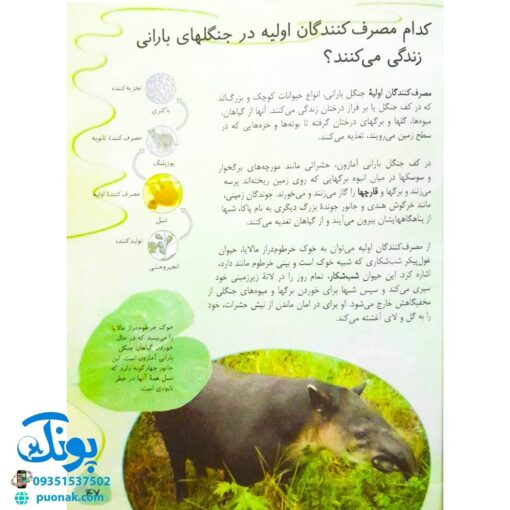 کتاب زنجیره‌های غذا در طبیعت