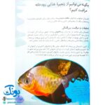 کتاب زنجیره‌های غذا در طبیعت