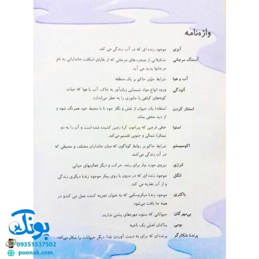 کتاب زنجیره‌های غذا در طبیعت
