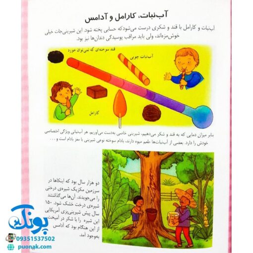 کتاب دایره المعارف تغذیه (کتاب های مرجع)