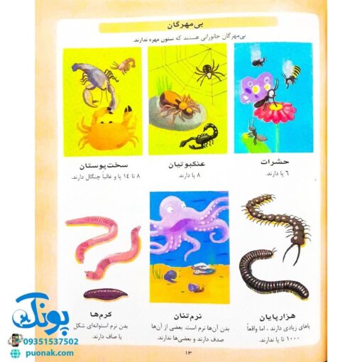 کتاب دایره المعارف علوم (کتاب های مرجع)