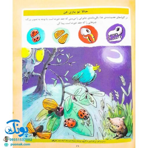 کتاب دایره المعارف علوم (کتاب های مرجع)
