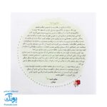 مجموعه کتاب های مهارت محور کفشدوزک جلد ۶ (شناخت سایه ها)