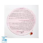مجموعه کتاب های مهارت محور کفشدوزک جلد سیزدهم ۱۳ (پرورش دقت) تقویت مهارت های اساسی کودکان ۴ تا ۶ سال