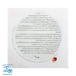 مجموعه کتاب های مهارت محور کفشدوزک جلد هفدهم ۱۷ (مازها ۳) تقویت مهارت های اساسی کودکان ۴ تا ۶ سال