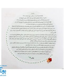 مجموعه کتاب های مهارت محور کفشدوزک جلد هفدهم ۱۷ (مازها ۳) تقویت مهارت های اساسی کودکان ۴ تا ۶ سال