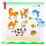 مجموعه کتاب های مهارت محور کفشدوزک جلد سی ام ۳۰ (رابطه ها را پیدا کن، تشخیص نسبت) تقویت مهارت های اساسی کودکان ۳ تا ۶ سال