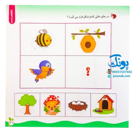 مجموعه کتاب های مهارت محور کفشدوزک جلد سی ام ۳۰ (رابطه ها را پیدا کن، تشخیص نسبت) تقویت مهارت های اساسی کودکان ۳ تا ۶ سال