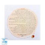 کتاب مهارت محور کفشدوزک ۳۹ (لذت رنگ آمیزی ۲) - Image 2