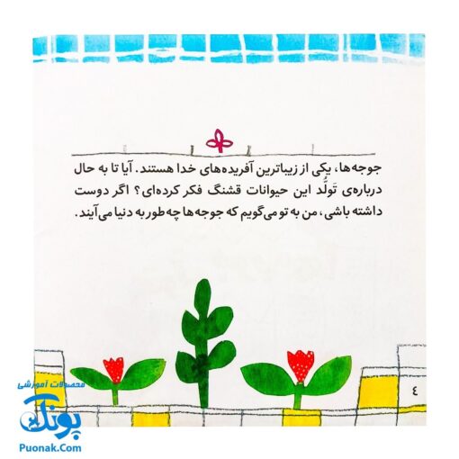 کتاب تولد جوجه‌ها (خداشناسی و توحید برای بچه ها)