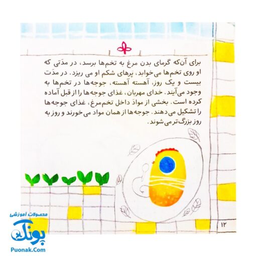 کتاب تولد جوجه‌ها (خداشناسی و توحید برای بچه ها)