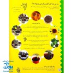 مجموعه باغبانی کودکان جلد سخت (۵۰ دستورالعمل برای کاشت و رشد گل ها و گیاهان)