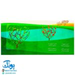 کتاب پنجره رو وا کنید یک چیزی پیدا کنید (میوه‌ها)