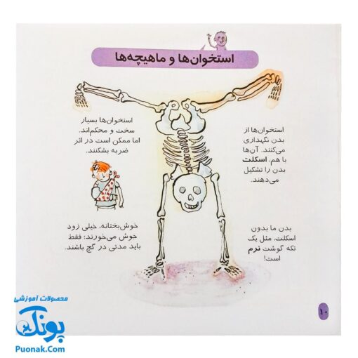 کتاب دایره المعارف کوچک من درباره بدن من