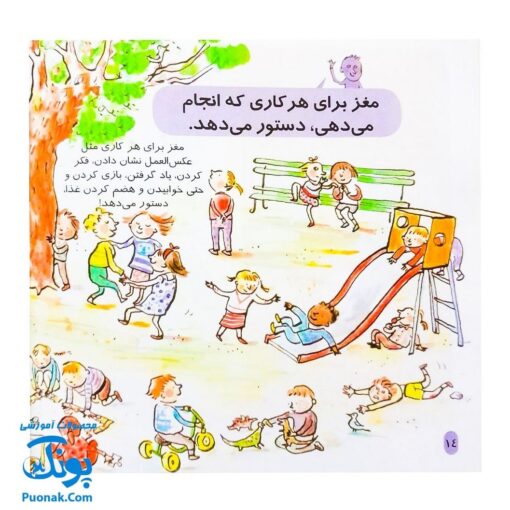 کتاب دایره المعارف کوچک من درباره بدن من