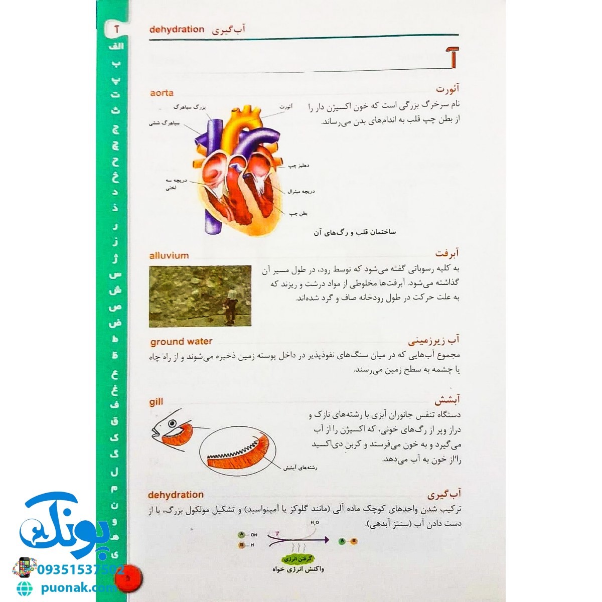 کتاب فرهنگ علوم تجربی مدرسه (ویژه ی دانش آموزان دوره راهنمایی، دبیرستان و معلمان)