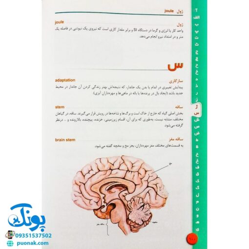 کتاب فرهنگ علوم تجربی مدرسه (ویژه ی دانش آموزان دوره راهنمایی، دبیرستان و معلمان)