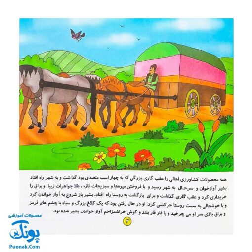 کتاب داستان کلاغ دزد