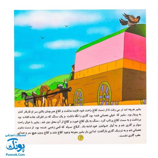 کتاب داستان کلاغ دزد