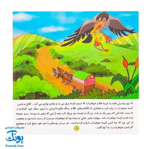 کتاب داستان کلاغ دزد