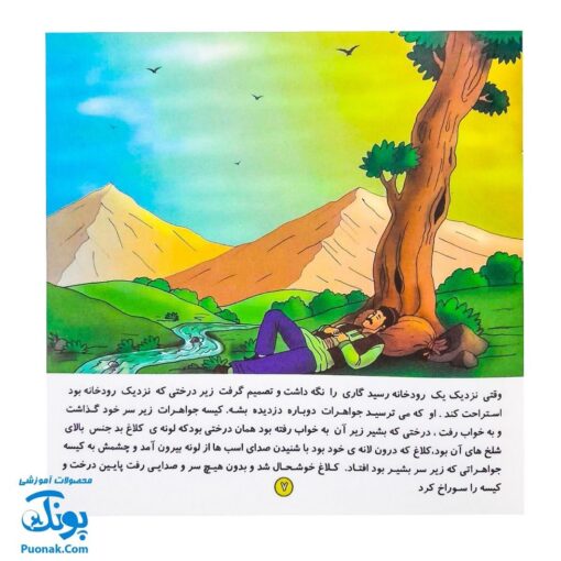کتاب داستان کلاغ دزد