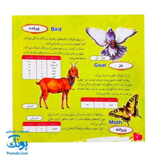 بازی فکری مذهبی حیوانات در قرآن (برای آشنایی با حیوانات ذکر شده در قرآن کریم همراه با یک کتاب و دو بازی)