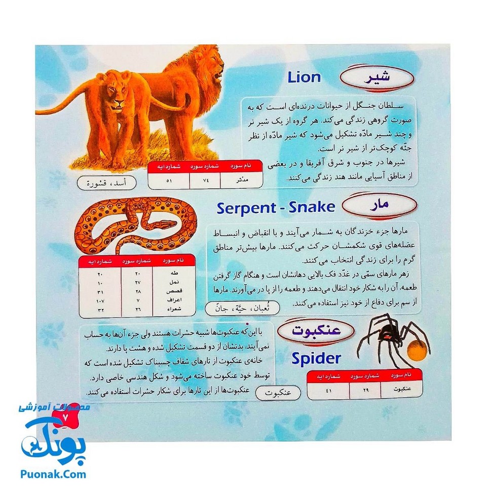 بازی فکری مذهبی حیوانات در قرآن (برای آشنایی با حیوانات ذکر شده در قرآن کریم همراه با یک کتاب و دو بازی)