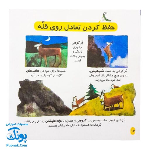 کتاب دایره المعارف کوچک من درباره ی کوهستان