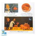 کتاب دایره المعارف کوچک من درباره ی دنیای شب