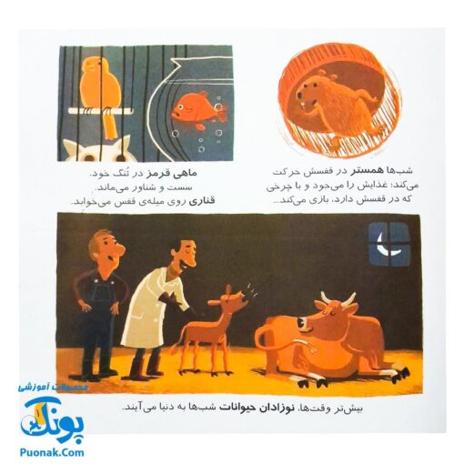 کتاب دایره المعارف کوچک من درباره ی دنیای شب