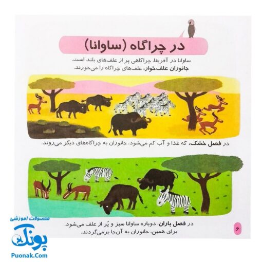 کتاب دایره المعارف کوچک من درباره جانوران دنیا