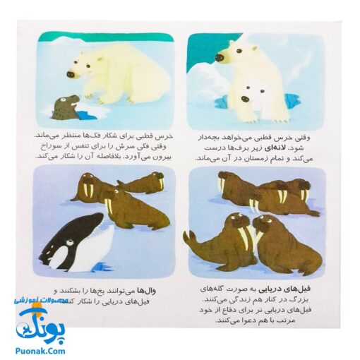 کتاب دایره المعارف کوچک من درباره جانوران دنیا